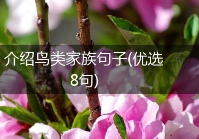 介绍鸟类家族句子(优选8句)