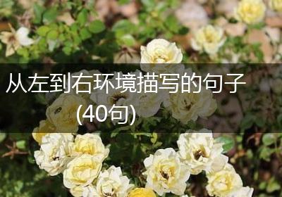 从左到右环境描写的句子(40句)