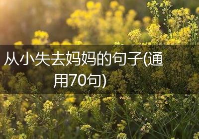 从小失去妈妈的句子(通用70句)