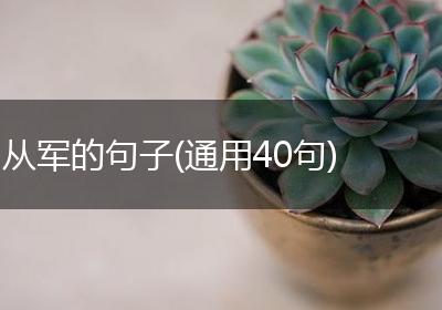 从军的句子(通用40句)