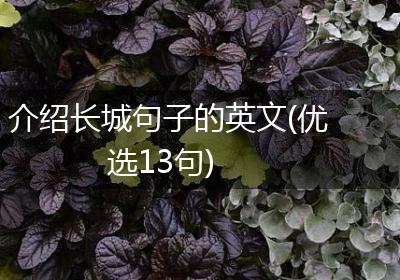 介绍长城句子的英文(优选13句)