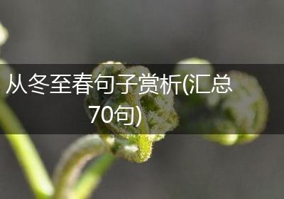 从冬至春句子赏析(汇总70句)