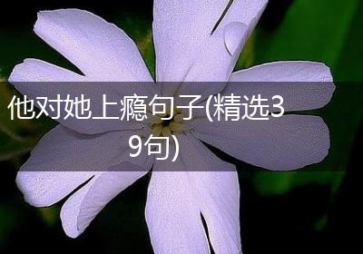 他对她上瘾句子(精选39句)