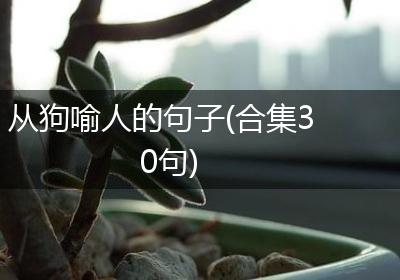 从狗喻人的句子(合集30句)