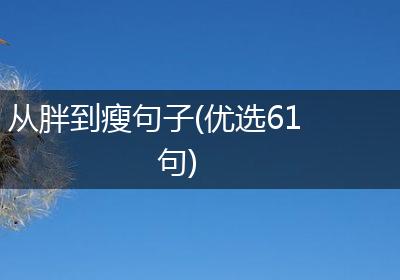 从胖到瘦句子(优选61句)