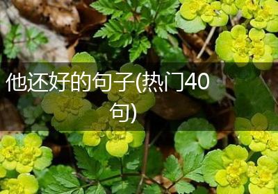 他还好的句子(热门40句)