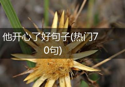 他开心了好句子(热门70句)