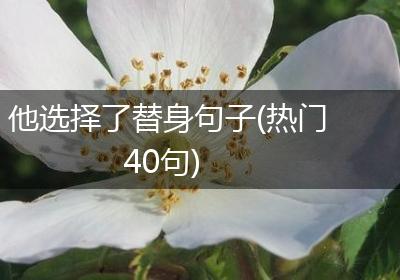 他选择了替身句子(热门40句)