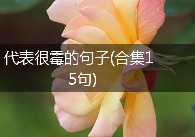 代表很霉的句子(合集15句)