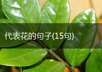 代表花的句子(15句)