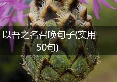 以吾之名召唤句子(实用50句)
