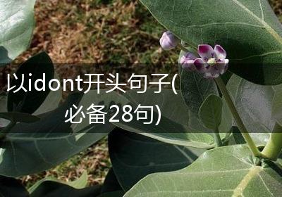以idont开头句子(必备28句)