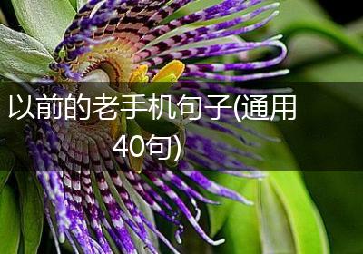 以前的老手机句子(通用40句)