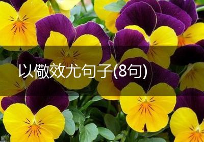 以儆效尤句子(8句)
