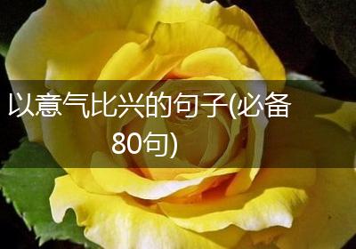 以意气比兴的句子(必备80句)