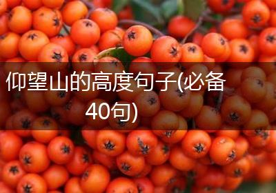 仰望山的高度句子(必备40句)