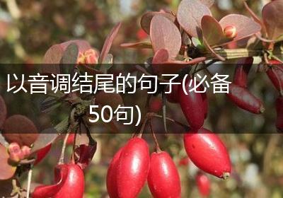 以音调结尾的句子(必备50句)
