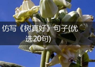 仿写《树真好》句子(优选20句)