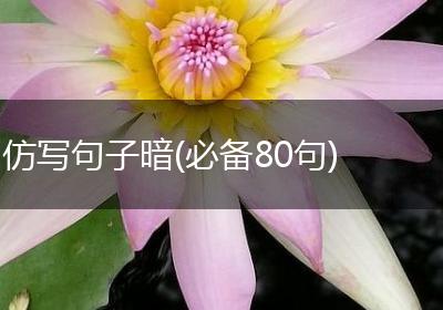 仿写句子暗(必备80句)