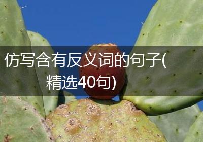 仿写含有反义词的句子(精选40句)