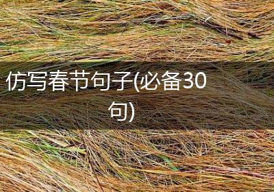 仿写春节句子(必备30句)