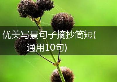 优美写景句子摘抄简短(通用10句)
