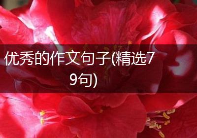 优秀的作文句子(精选79句)