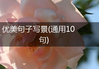 优美句子写景(通用10句)