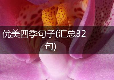 优美四季句子(汇总32句)