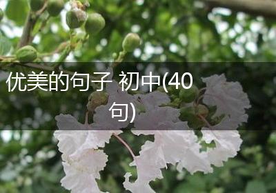 优美的句子 初中(40句)