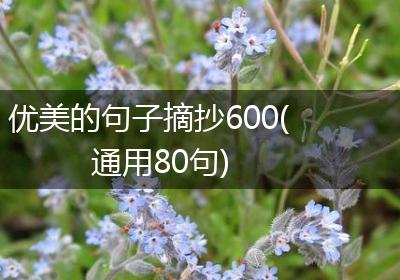 优美的句子摘抄600(通用80句)