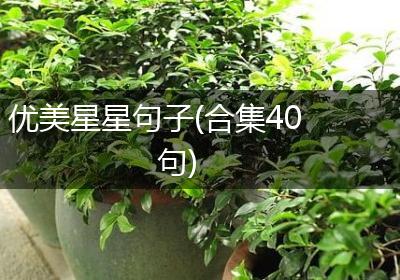 优美星星句子(合集40句)