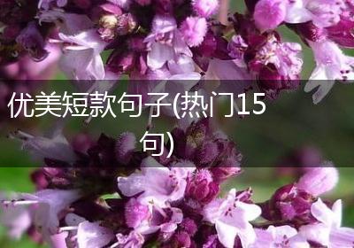 优美短款句子(热门15句)