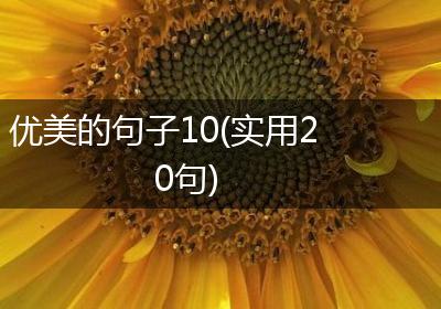 优美的句子10(实用20句)