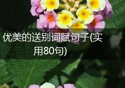 优美的送别词赋句子(实用80句)