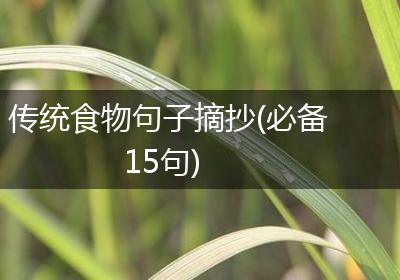 传统食物句子摘抄(必备15句)