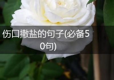 伤口撒盐的句子(必备50句)