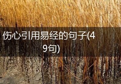 伤心引用易经的句子(49句)