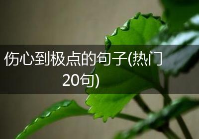伤心到极点的句子(热门20句)