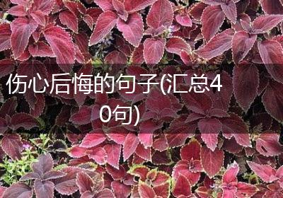 伤心后悔的句子(汇总40句)