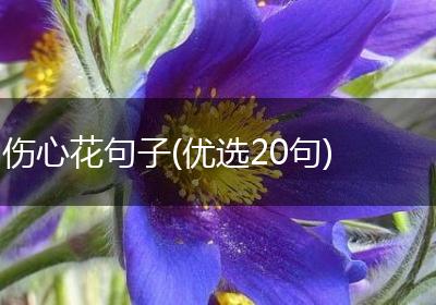 伤心花句子(优选20句)