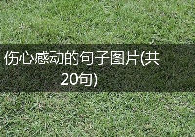 伤心感动的句子图片(共20句)