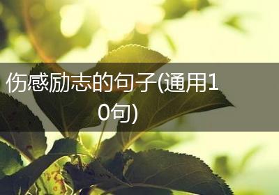 伤感励志的句子(通用10句)
