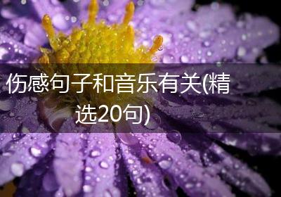 伤感句子和音乐有关(精选20句)