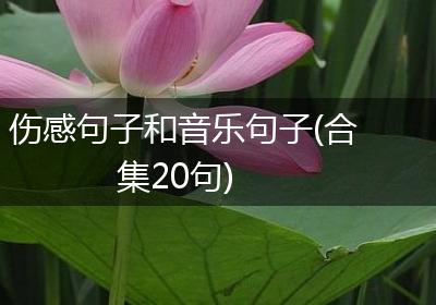 伤感句子和音乐句子(合集20句)
