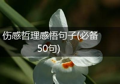 伤感哲理感悟句子(必备50句)