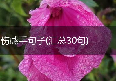 伤感手句子(汇总30句)
