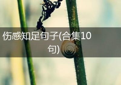 伤感知足句子(合集10句)