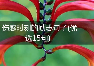 伤感时刻的励志句子(优选15句)