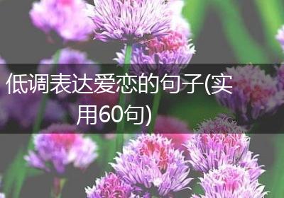 低调表达爱恋的句子(实用60句)